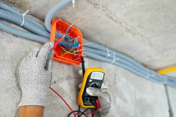 Best Electric Panel Repair  in Chinook, MT